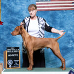 Teak gets his first point at his First Show