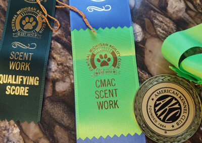 Frankie Rose First Place in Scent Work!