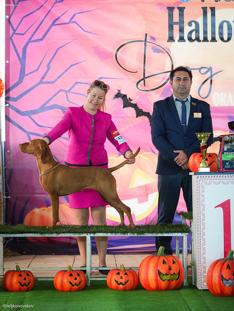 Janka @ Oradea Dog Show