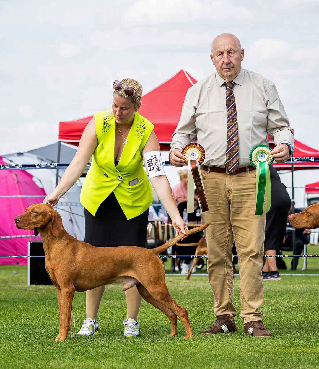 Zebi September Success