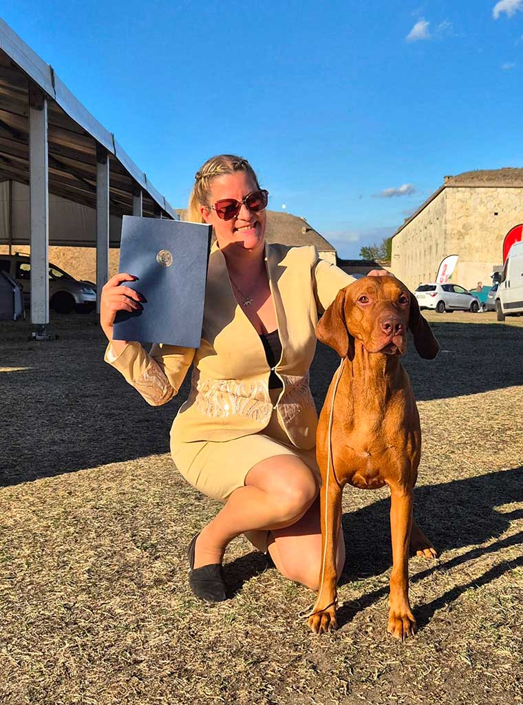 Zebi: Top Vizsla in Hungary 2026